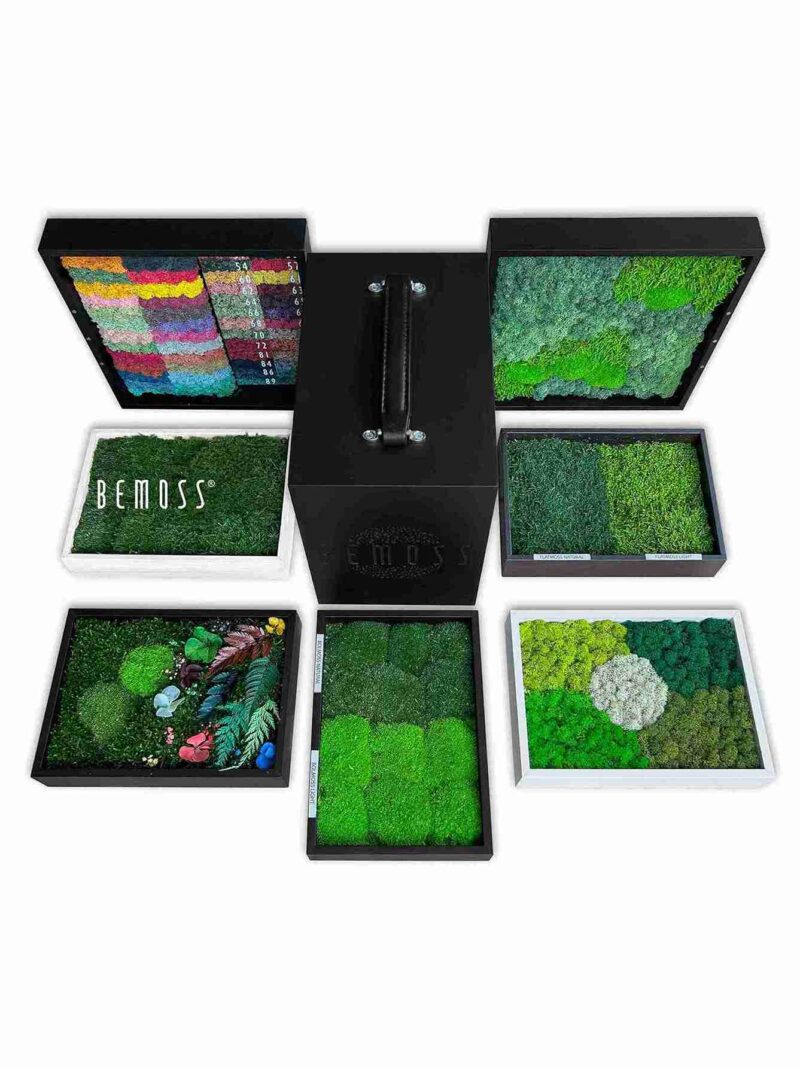 Premium Moos-Musterbox