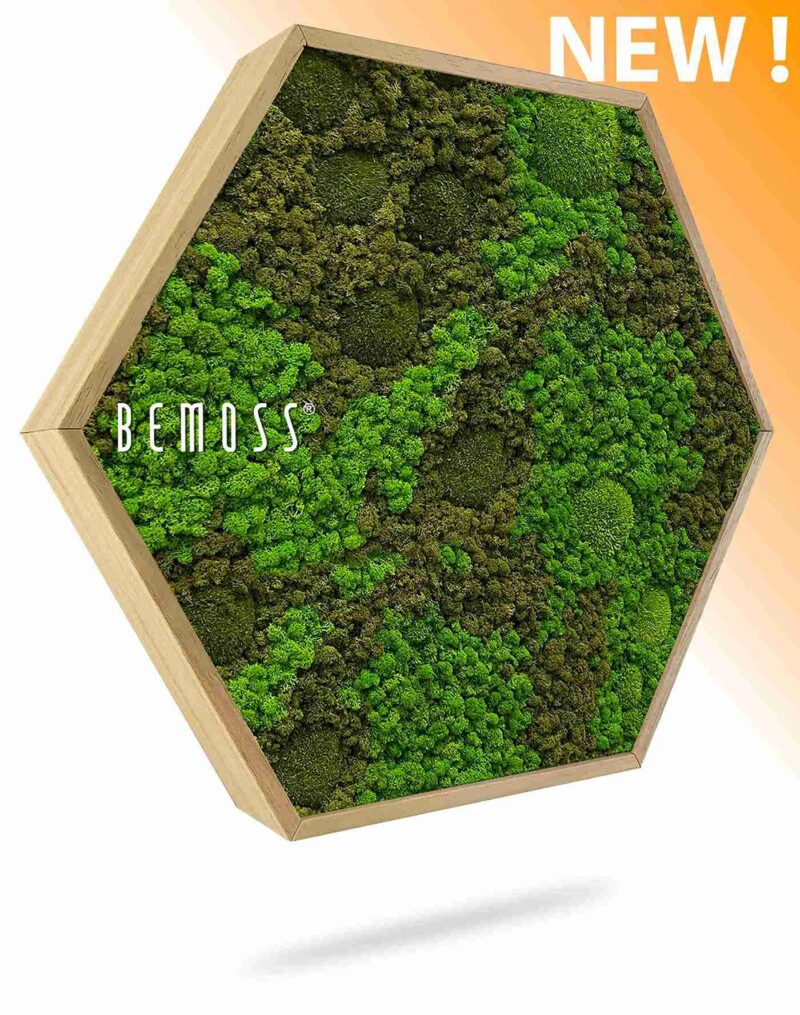 Moosbild Hexagon BEMOSS® ORTHO ASEL