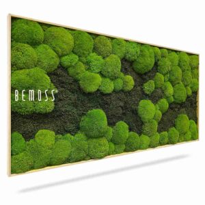 Moosbild FLACHMOOS & KUGELMOOS DUO Light Green - Thumbnail Image 1