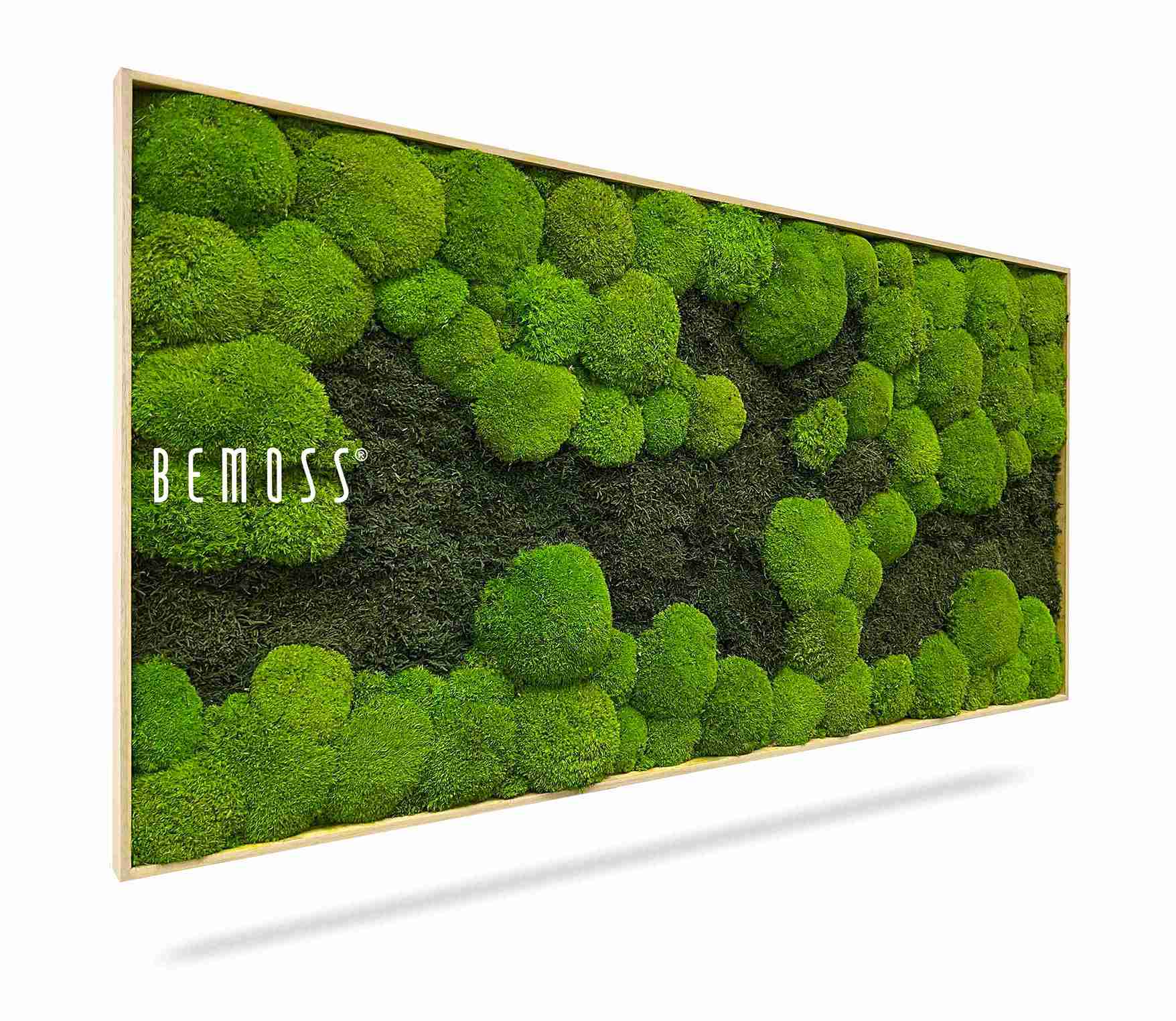 Moosbild FLACHMOOS & KUGELMOOS DUO Light Green – Bild 1