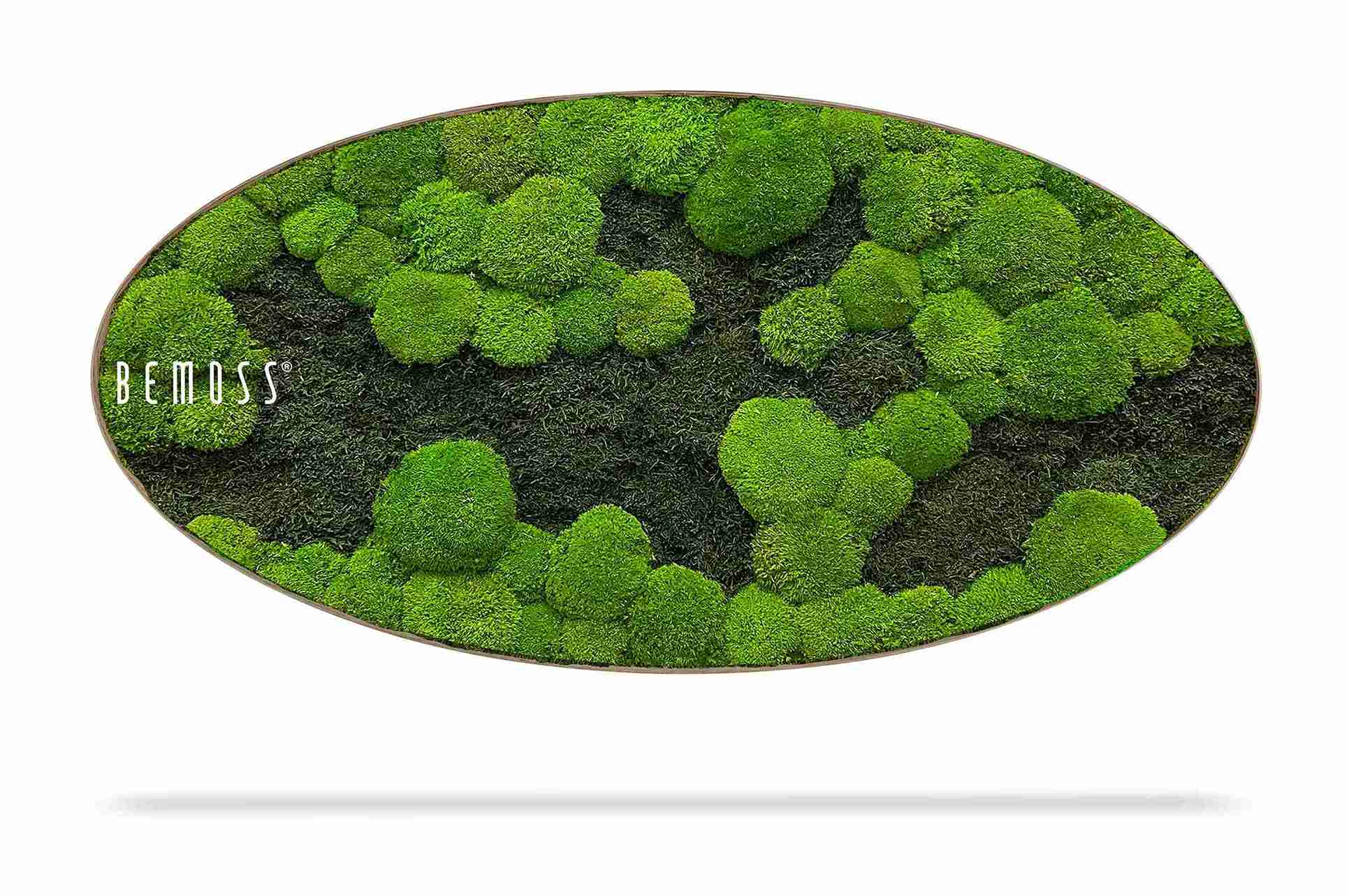 Moosbild Ellipse FLACHMOOS & KUGELMOOS DUO Light Green – Bild 1