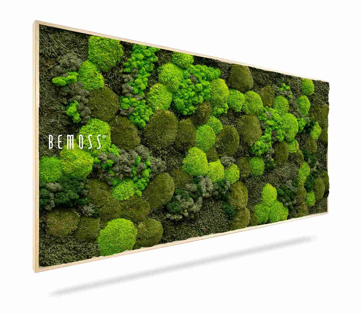Moosbild BEMOSS® ORTHO DOVEN – Bild 1