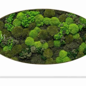 Moosbild Ellipse BEMOSS® ORTHO DOVEN - Thumbnail Image 1