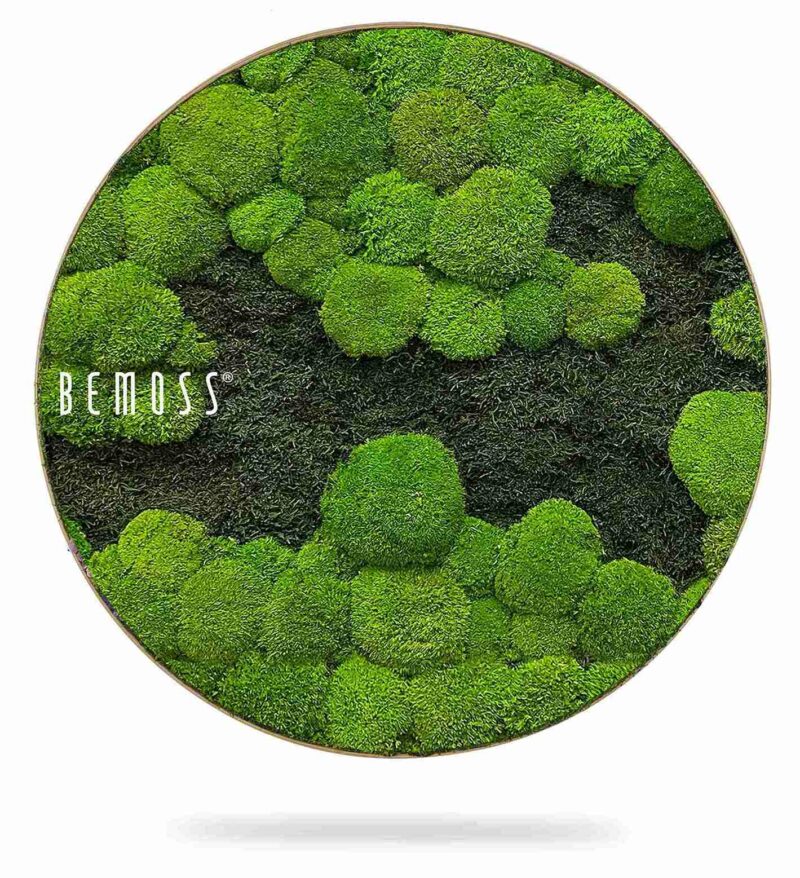 Moosbild Rund FLACHMOOS & KUGELMOOS DUO Light Green