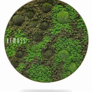 Moosbild Rund BEMOSS® ORTHO ASEL - Thumbnail Image 1