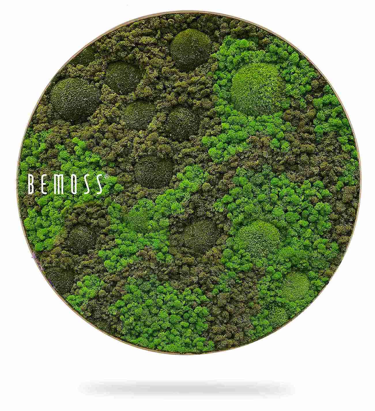 Moosbild Rund BEMOSS® ORTHO ASEL – Bild 1