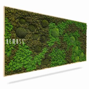 Moosbild BEMOSS® ORTHO ASEL - Thumbnail Image 1