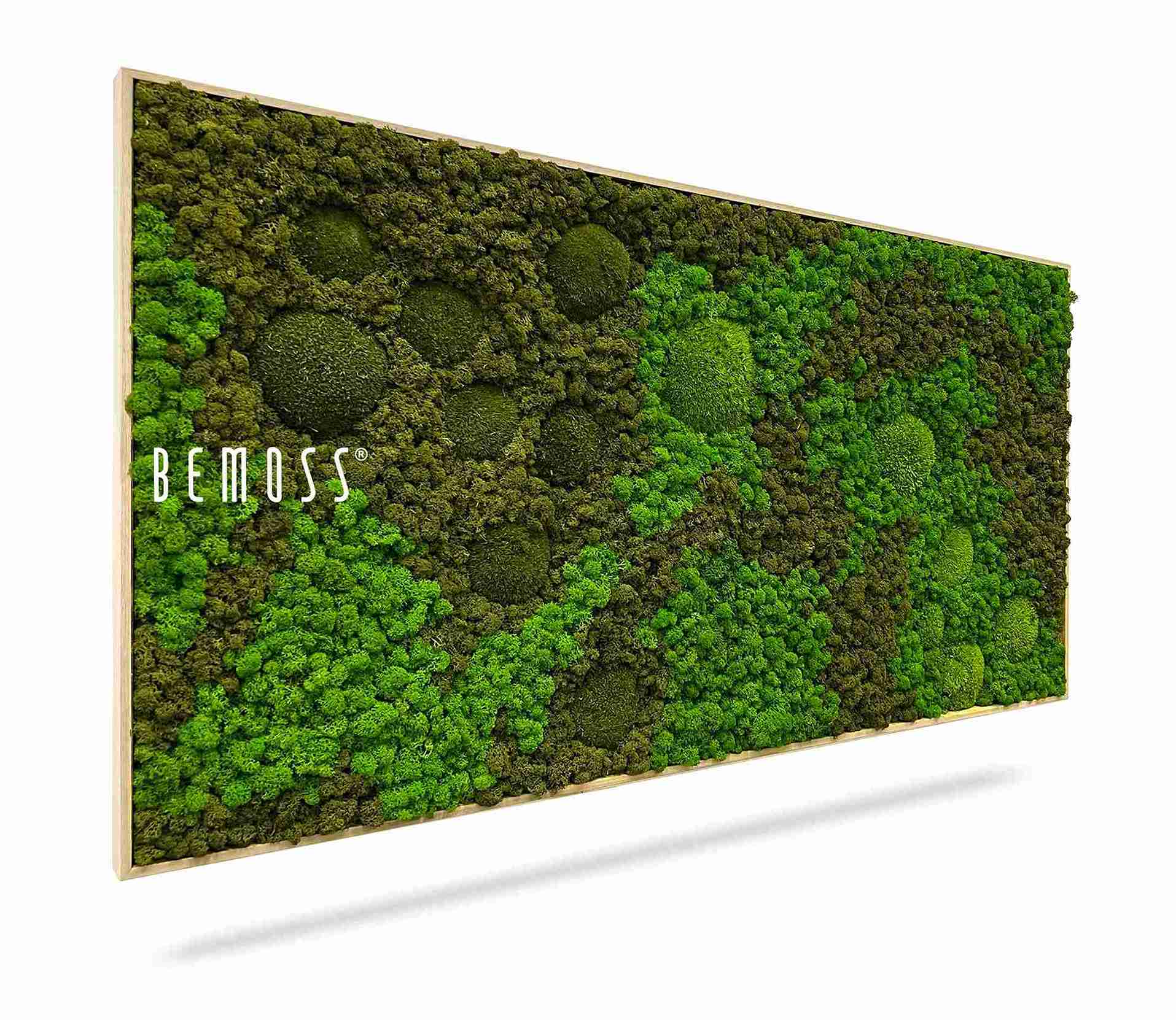 Moosbild BEMOSS® ORTHO ASEL – Bild 1
