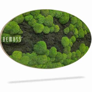 Moosbild Ellipse FLACHMOOS & KUGELMOOS DUO Light Green - Thumbnail Image 2