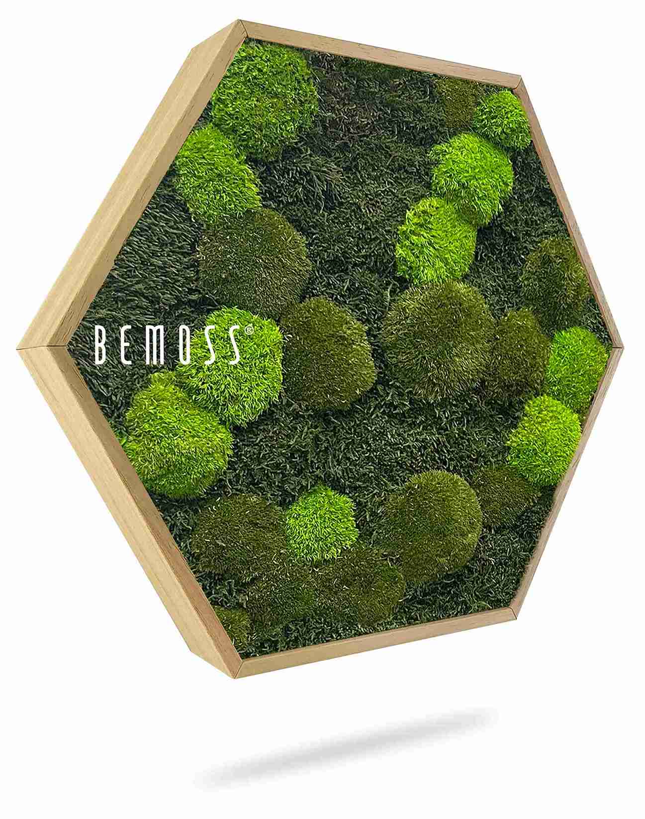 Moosbild Hexagon FLACHMOOS & KUGELMOOS Doven mono – Bild 1