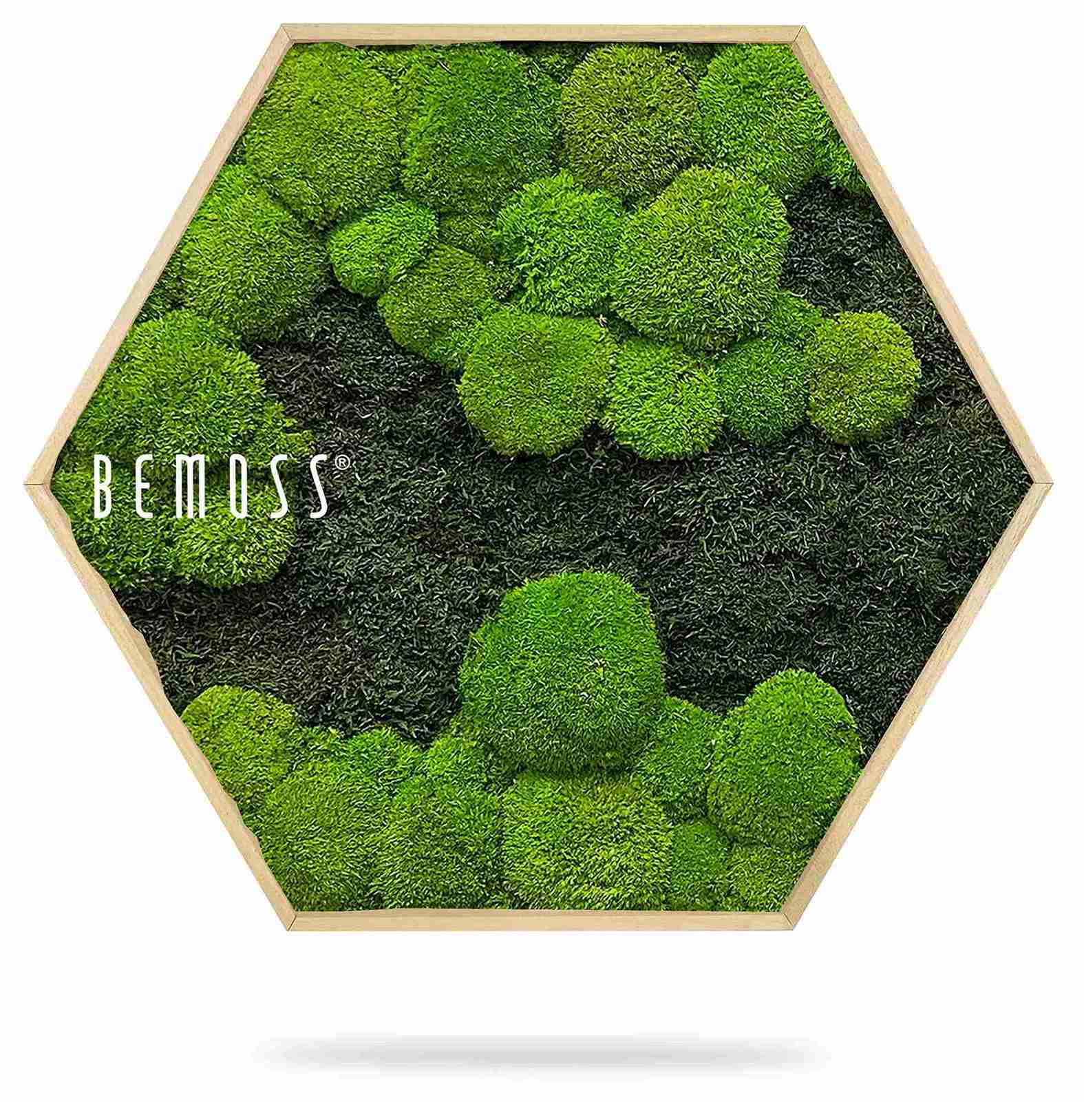 Moosbild Hexagon FLACHMOOS & KUGELMOOS DUO Light Green – Bild 2