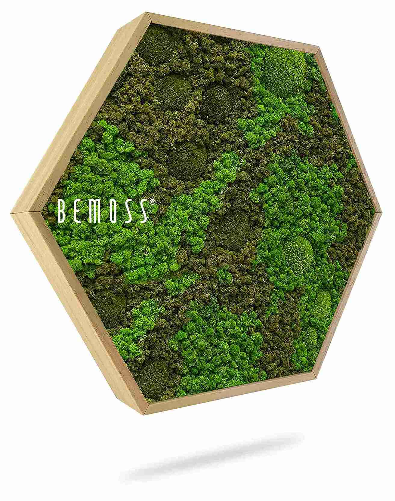 Moosbild Hexagon BEMOSS® ORTHO ASEL – Bild 1