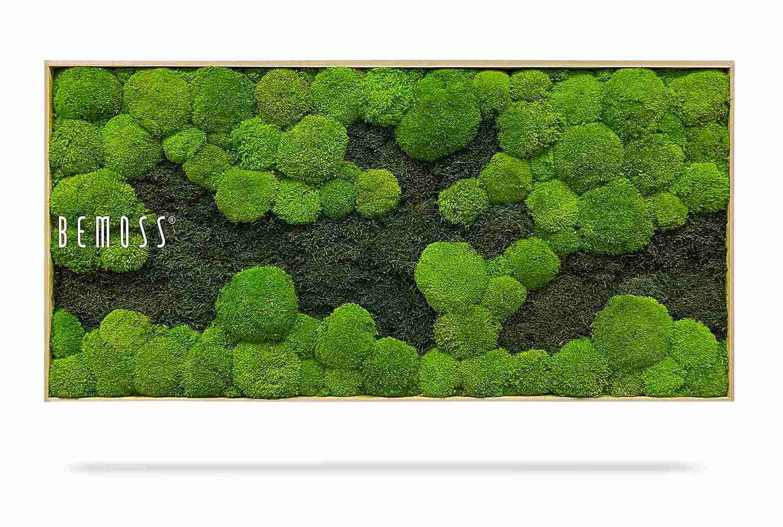 Moosbild FLACHMOOS & KUGELMOOS DUO Light Green – Bild 2