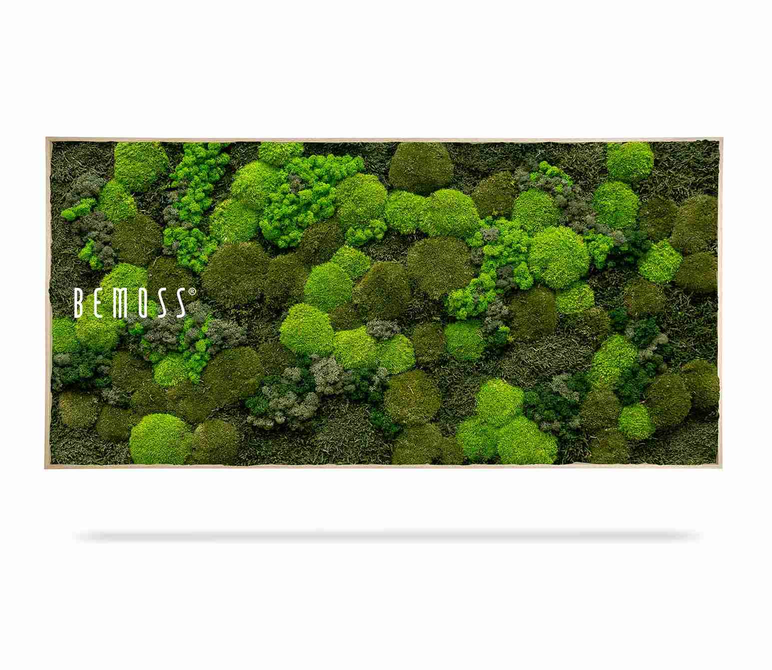 Moosbild BEMOSS® ORTHO DOVEN – Bild 2